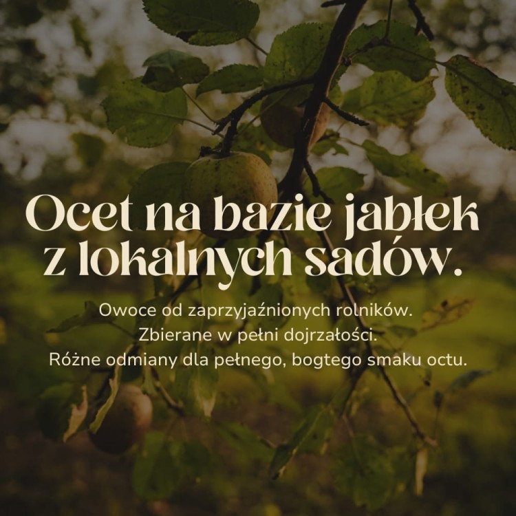 Prawdziwy żywy ocet jabłkowy