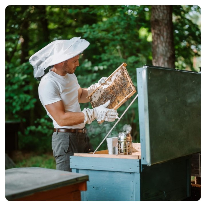 Pasieka Z KWIATKA NA KWIATEK