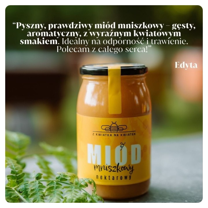 Naturalny miód mniszkowy
