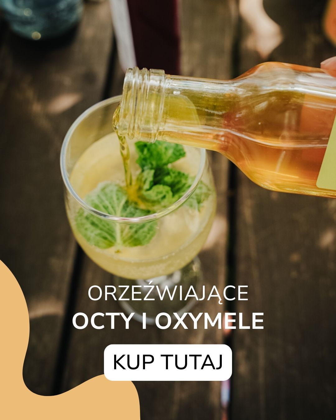 Żywe octy i oxymele