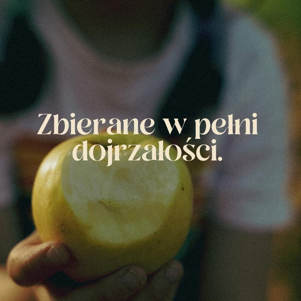 Prawdziwy żywy ocet jabłkowy