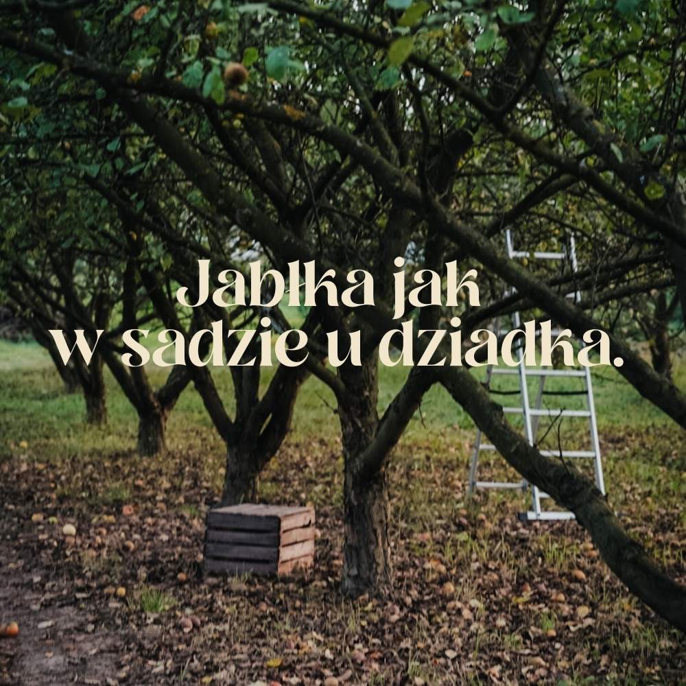 Prawdziwy żywy ocet jabłkowy